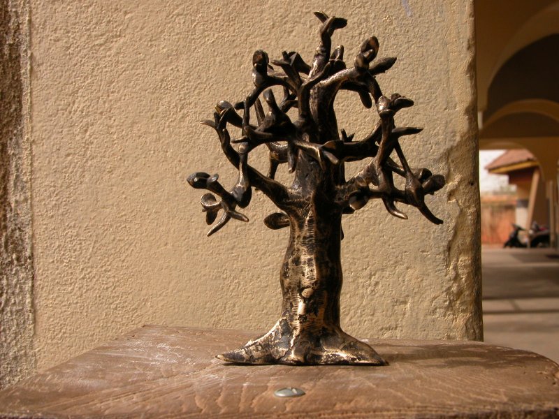Baobab boom brons groot